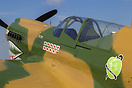 Curtiss P-40N Warhawk