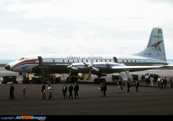 Bristol 175 Britannia 318 Bristol 175 Britannia 318