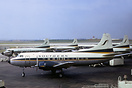 Martin 404