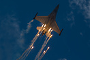 F-16AM Fighting Falcon