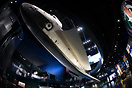 Space shuttle Atlantis, the final orbiter among NASA's spaceplane flee...