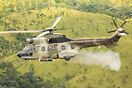 Eurocopter AS-532AC Cougar