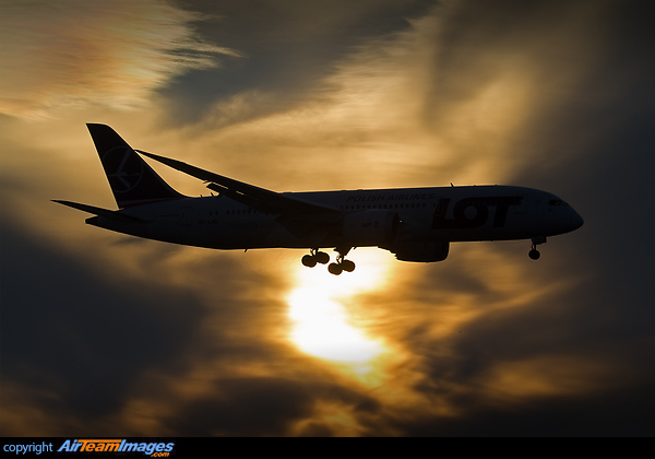 Boeing 787-8 Dreamliner Boeing 787-8 Dreamliner