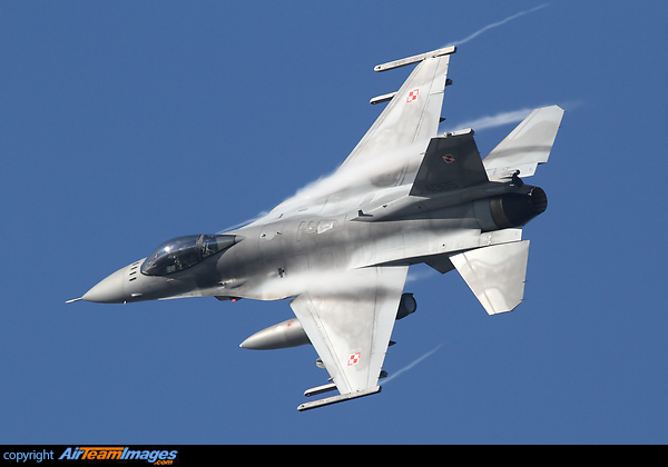 F-16CJ Fighting Falcon F-16CJ Fighting Falcon