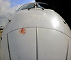 Bird Strike