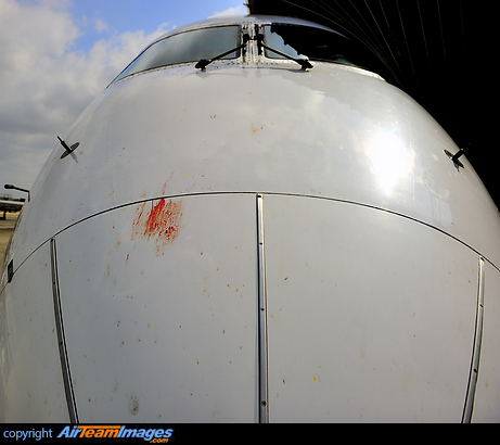 Bird Strike Bird Strike