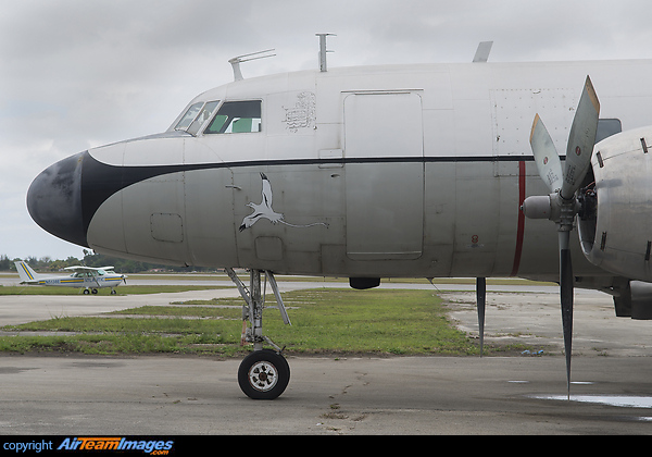 This Convair is the newest addition to Conquest's fleet. The aircraft will join its sister ship (N145GT) hauling fright over the Caribbean. Nose detail is still showing from its previous operator. Convair C-131F