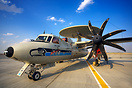 Grumman E-2C+ Hawkeye 2000