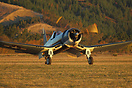 Goodyear FG-1D Corsair