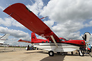 Quest Kodiak 100