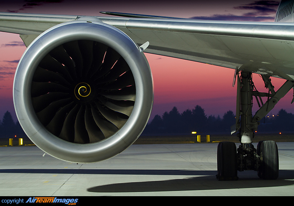 Boeing 787-8 Dreamliner Boeing 787-8 Dreamliner