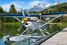 Cessna 185 Skywagon