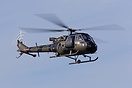 Westland Scout AH1