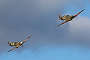 Hurricane & Spitfire