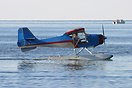 Denney Kitfox III