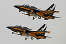 Black Eagles Black Eagles