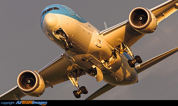 Boeing 787-8 Dreamliner Boeing 787-8 Dreamliner