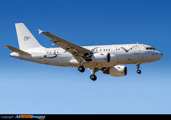 Airbus ACJ319 Airbus ACJ319