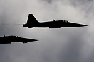 Northrop F-5E Tiger II