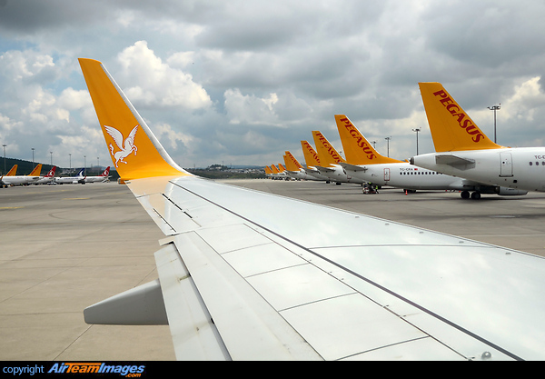 Pegasus Heaven Boeing 737-82R
