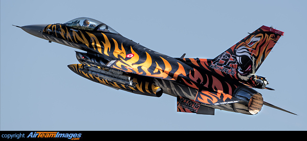F-16CJ Fighting Falcon F-16CJ Fighting Falcon