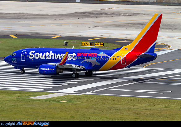 Discovery Channel Shark Week promo 2016. Boeing 737-7H4