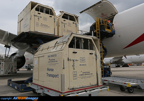 Horse Transport Horse Transport