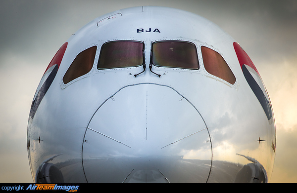 Boeing 787-8 Dreamliner Boeing 787-8 Dreamliner