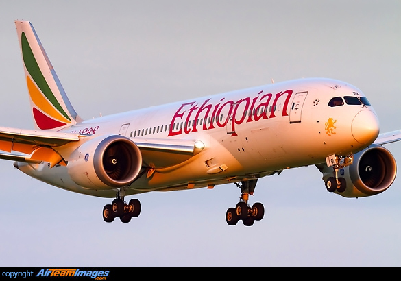 Boeing 787-8 Dreamliner Boeing 787-8 Dreamliner