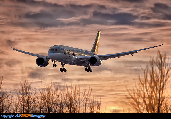 Boeing 787-8 Dreamliner Boeing 787-8 Dreamliner