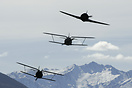 Polikarpov I-153 & I-16