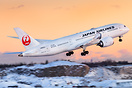 Boeing 787-8 Dreamliner Boeing 787-8 Dreamliner