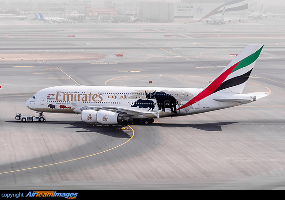 "United for Wildlife" special colours A380 seen on a terribly hazy day with sand constantly blowing up in the air. Airbus A380-861