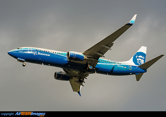 Boeing house color special paint scheme Boeing 737-890