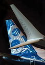 Boeing 737-8 MAX