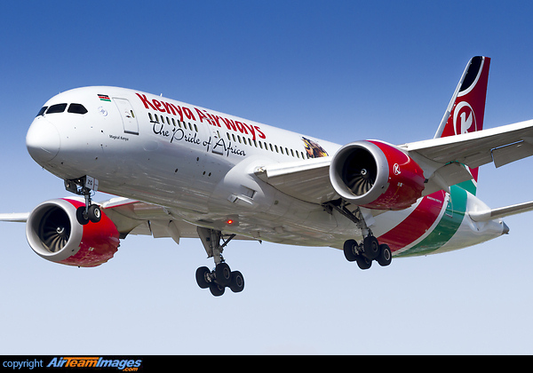 Boeing 787-8 Dreamliner Boeing 787-8 Dreamliner