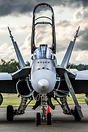 CF-18B Hornet