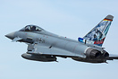 NATO Landivisiau Tiger Meet 2017 livery.