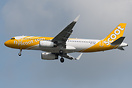 Tiger Air now re-branded into Scoot.