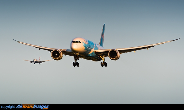 Boeing 787-8 Dreamliner Boeing 787-8 Dreamliner