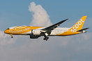 Boeing 787-8 Dreamliner