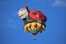 RVB Ladybug