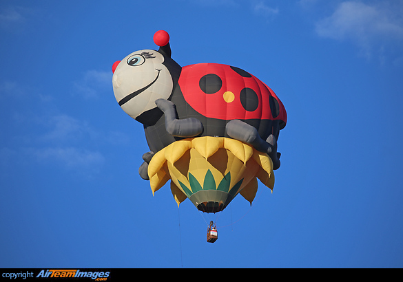 RVB Ladybug RVB Ladybug