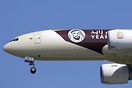 Year of Zayed special livery