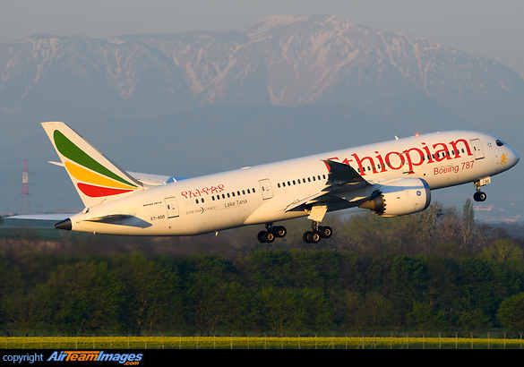 Boeing 787-8 Dreamliner Boeing 787-8 Dreamliner