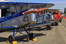 Stampe & Vertongen line-up (with D-MQUC & OO-SVA)