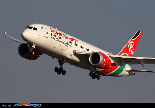 Boeing 787-8 Dreamliner Boeing 787-8 Dreamliner
