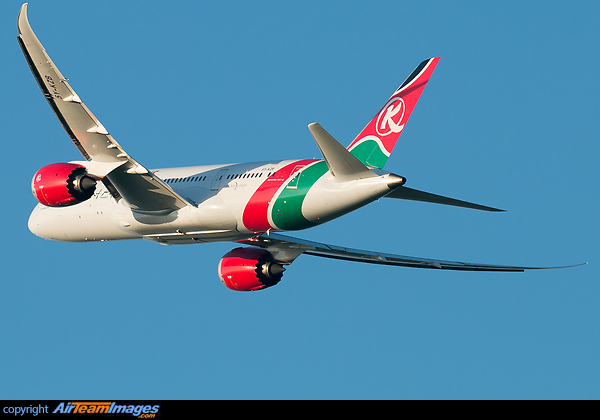 Boeing 787-8 Dreamliner Boeing 787-8 Dreamliner