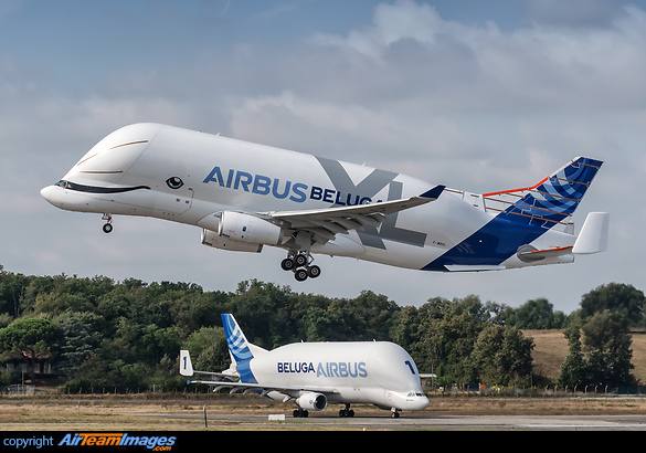 Airbus Beluga XL Airbus Beluga XL