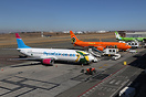 Overview of low cost carriers serving HLA.